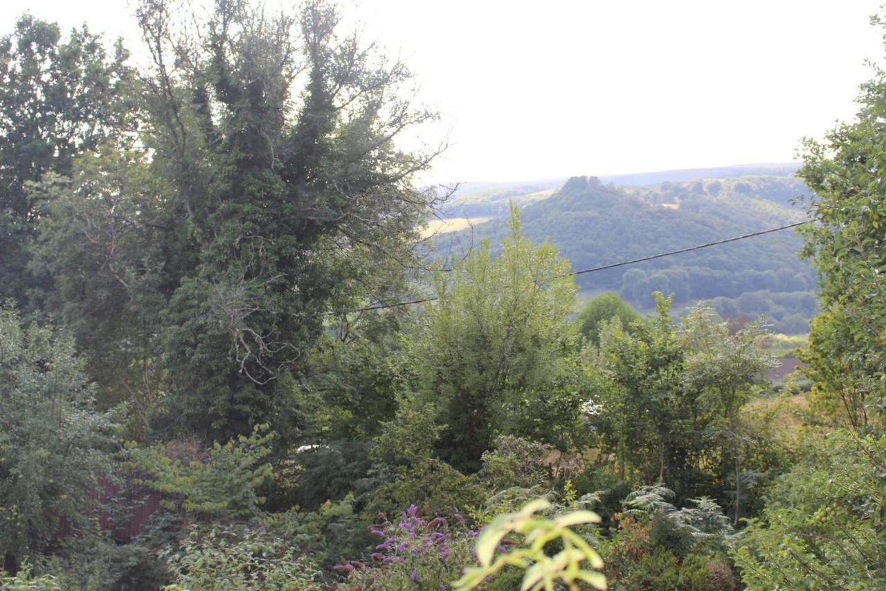 Relaxing Pet Friendly 2-Bed Cottage In Rhandirmwyn لياندوفيري المظهر الخارجي الصورة