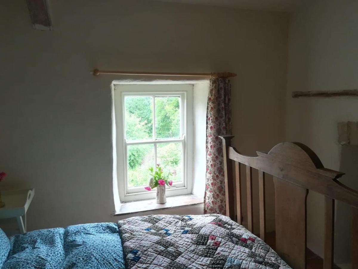 Relaxing Pet Friendly 2-Bed Cottage In Rhandirmwyn لياندوفيري المظهر الخارجي الصورة